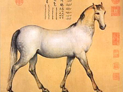 Afghan steeds at the Qing court